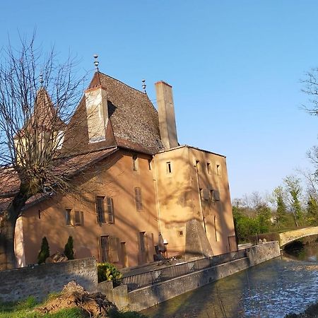 Bed and Breakfast Chateau de la Venerie Denicé Exterior foto