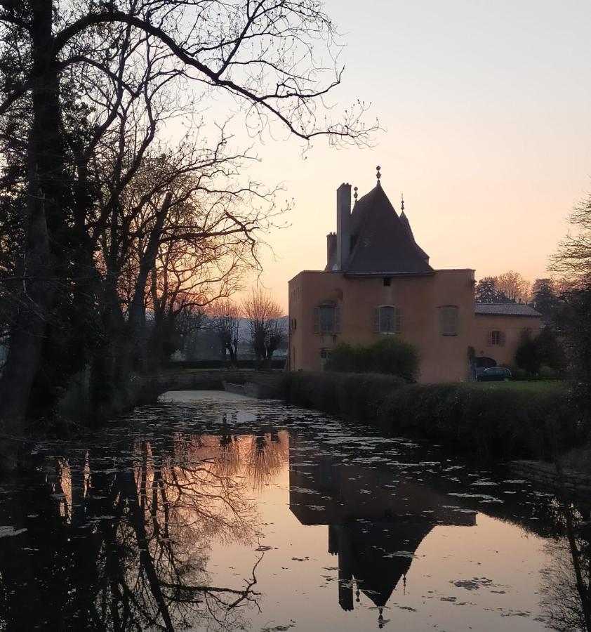 Bed and Breakfast Chateau de la Venerie Denicé Exterior foto