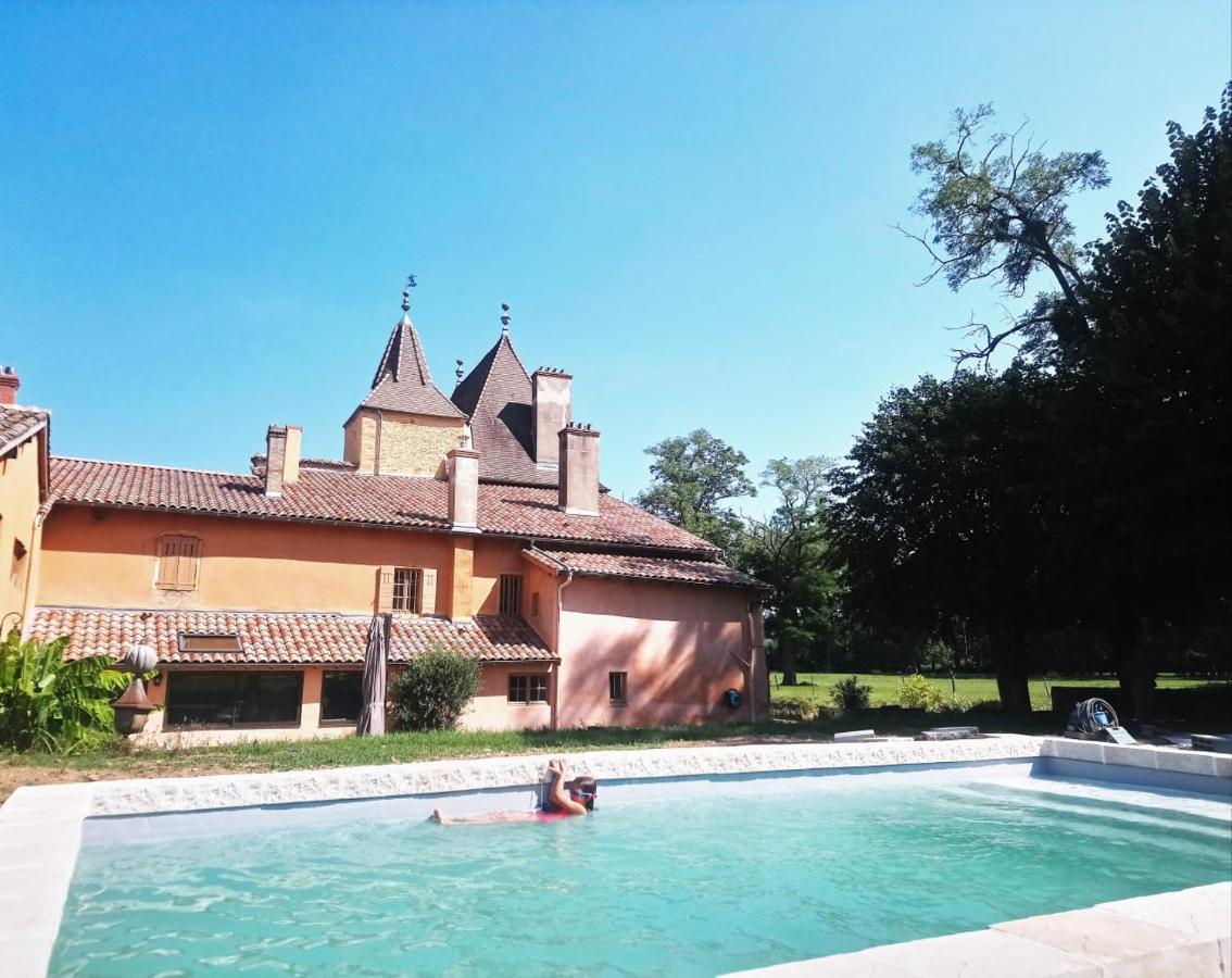 Bed and Breakfast Chateau de la Venerie Denicé Exterior foto