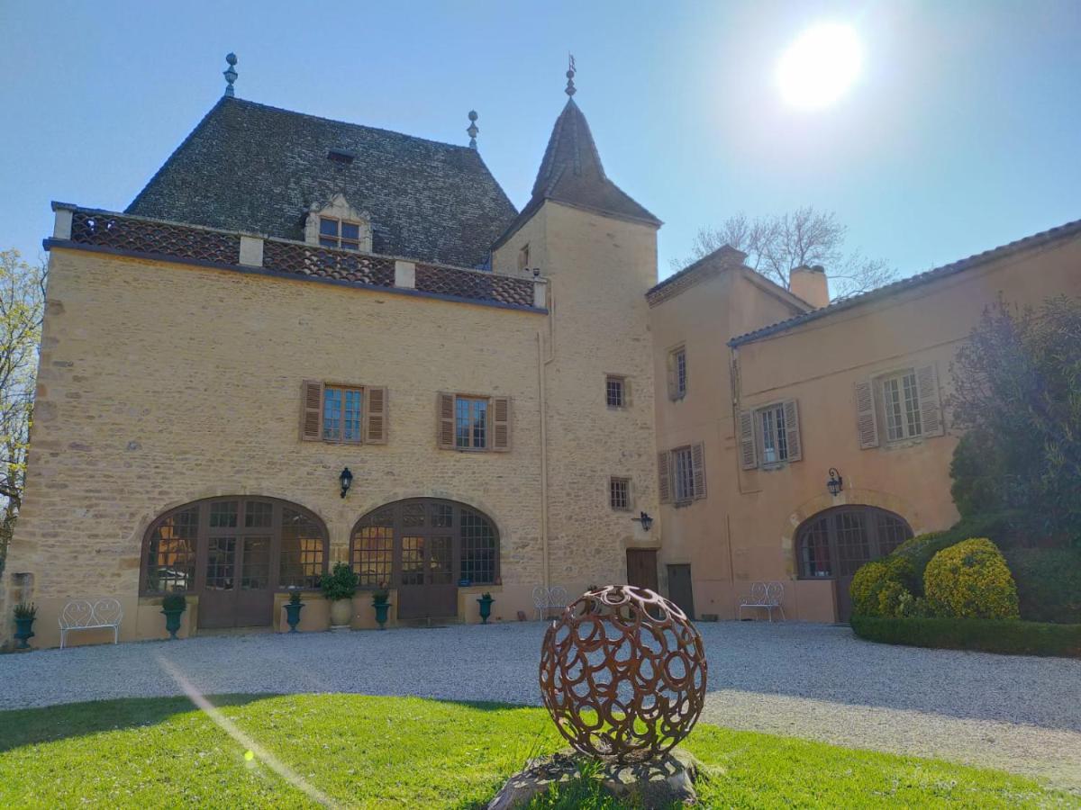 Bed and Breakfast Chateau de la Venerie Denicé Exterior foto