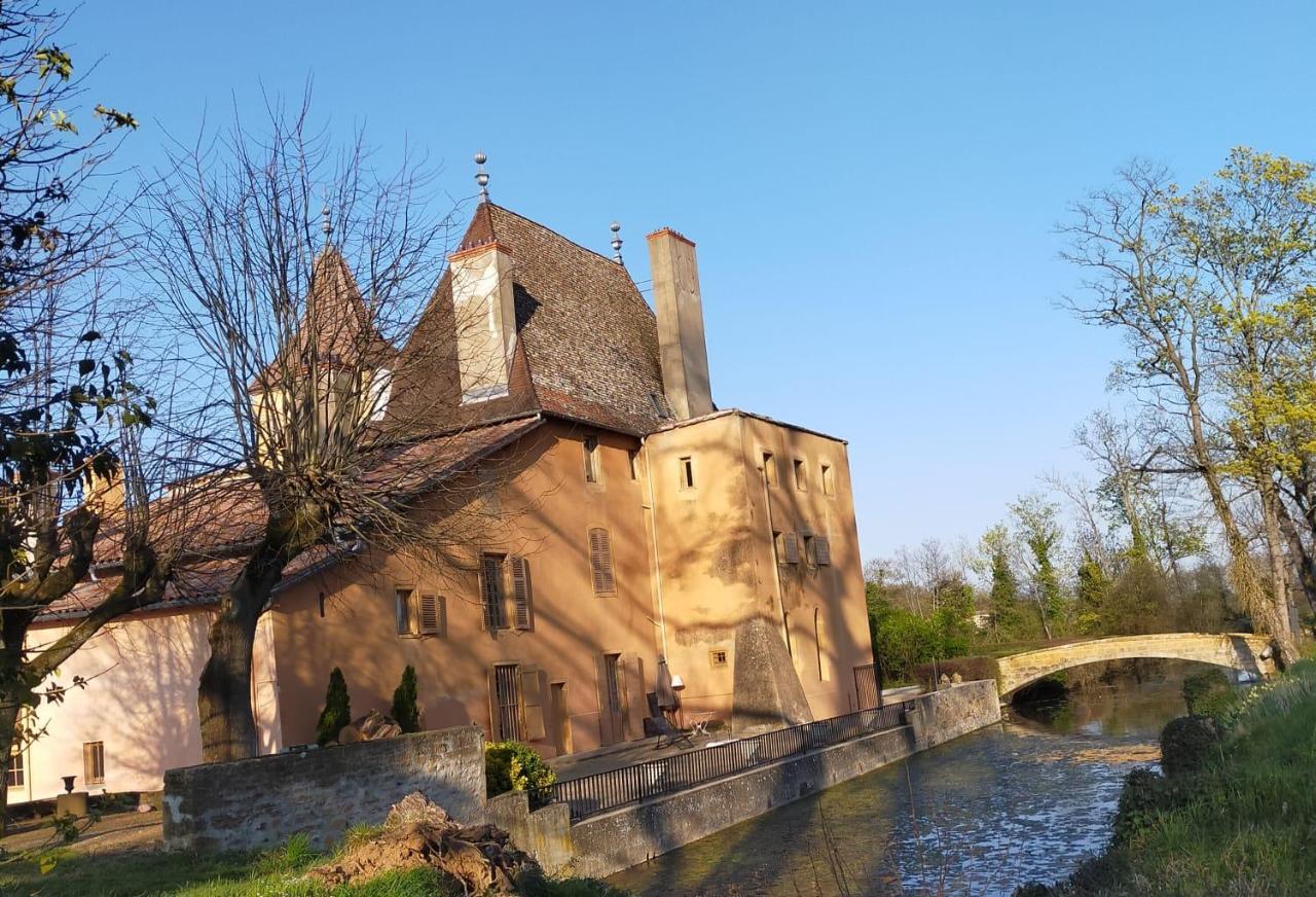 Bed and Breakfast Chateau de la Venerie Denicé Exterior foto