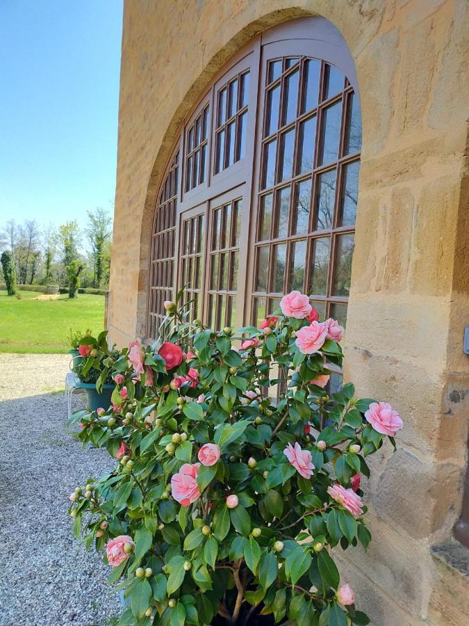 Bed and Breakfast Chateau de la Venerie Denicé Exterior foto