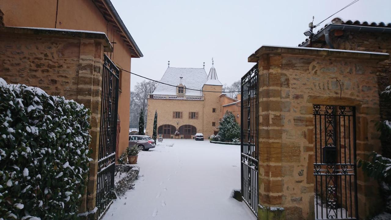 Bed and Breakfast Chateau de la Venerie Denicé Exterior foto