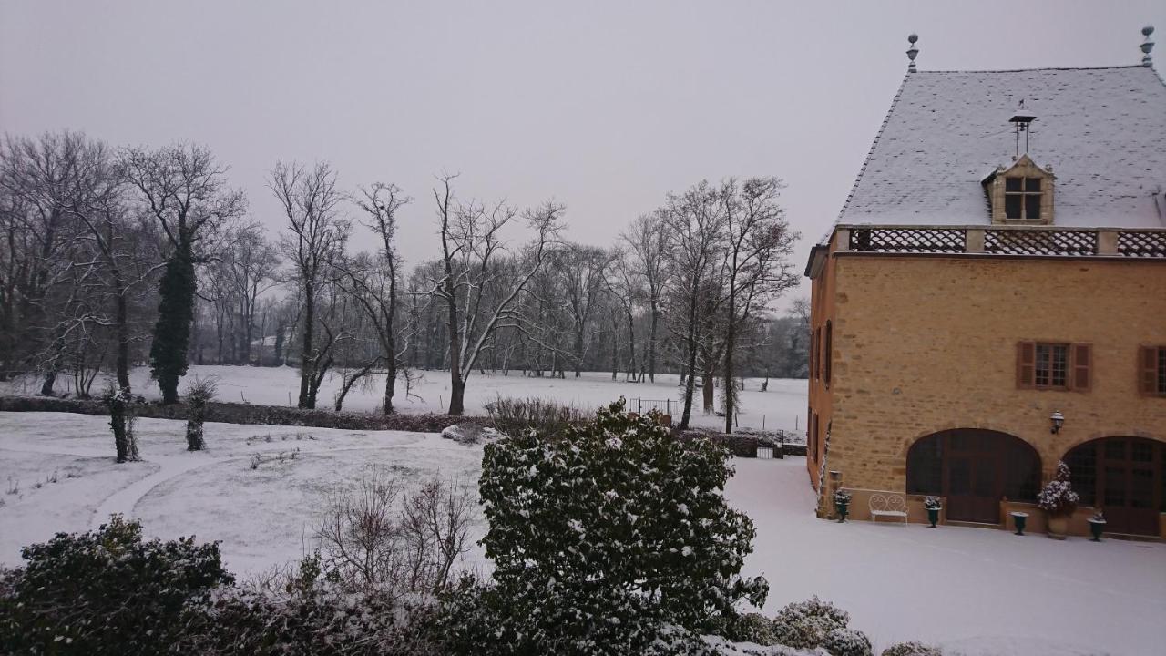 Bed and Breakfast Chateau de la Venerie Denicé Exterior foto